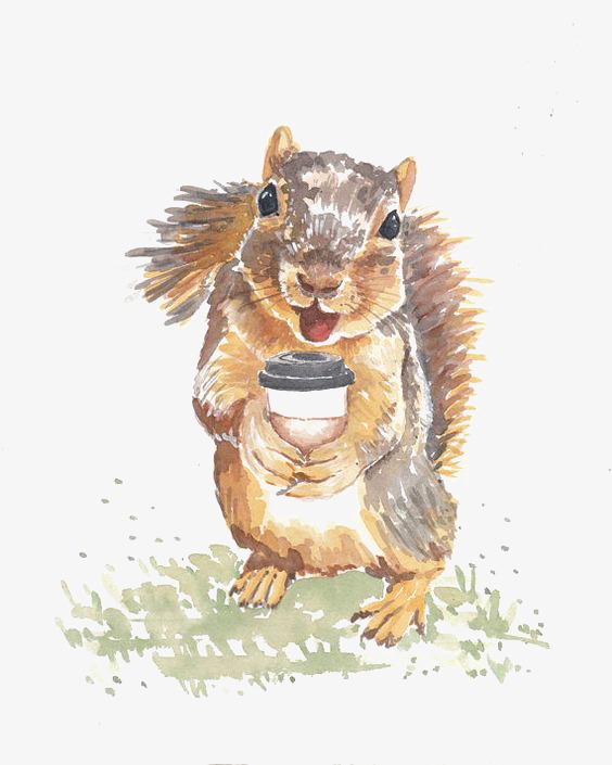 564x705 Squirrel, Squirrel Clipart, Hand Painted Squirrel, Watercolor