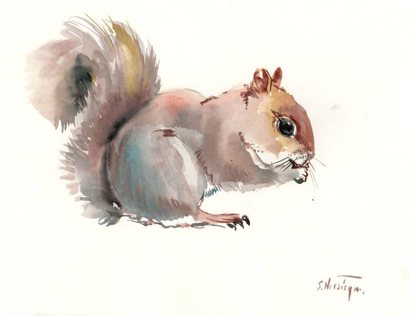 800x617 Squirrel, Original Watercolor Painting 12 X 9, Children Room