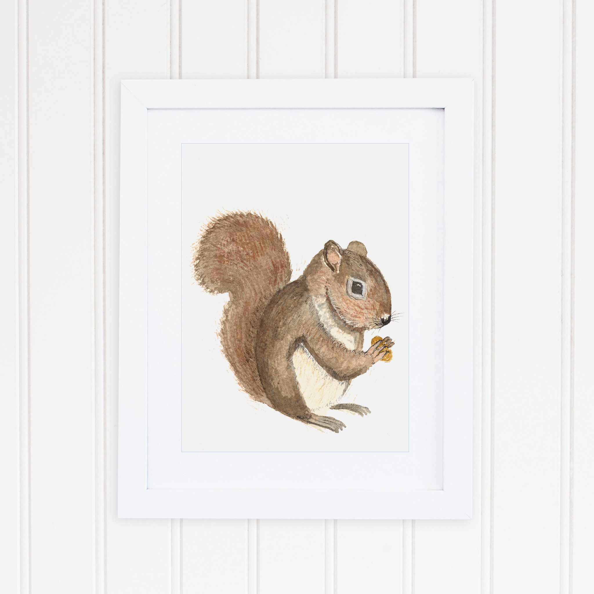 2048x2048 Squirrel Art Print