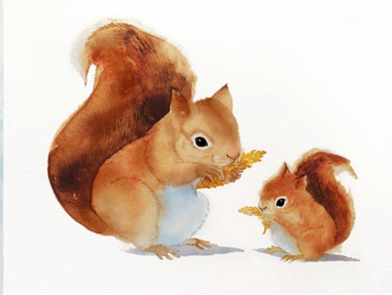 570x429 Squirrel Giclee Art Watercolor Painting Watercolor Squirrel Etsy
