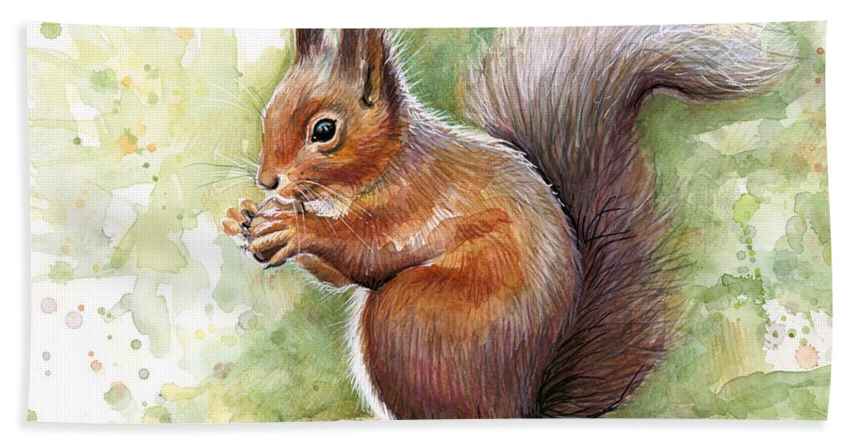 967x500 Squirrel Watercolor Art Beach Towel For Sale By Olga Shvartsur