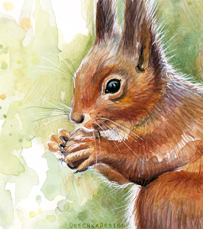 700x790 Squirrel Watercolor Olechka Design