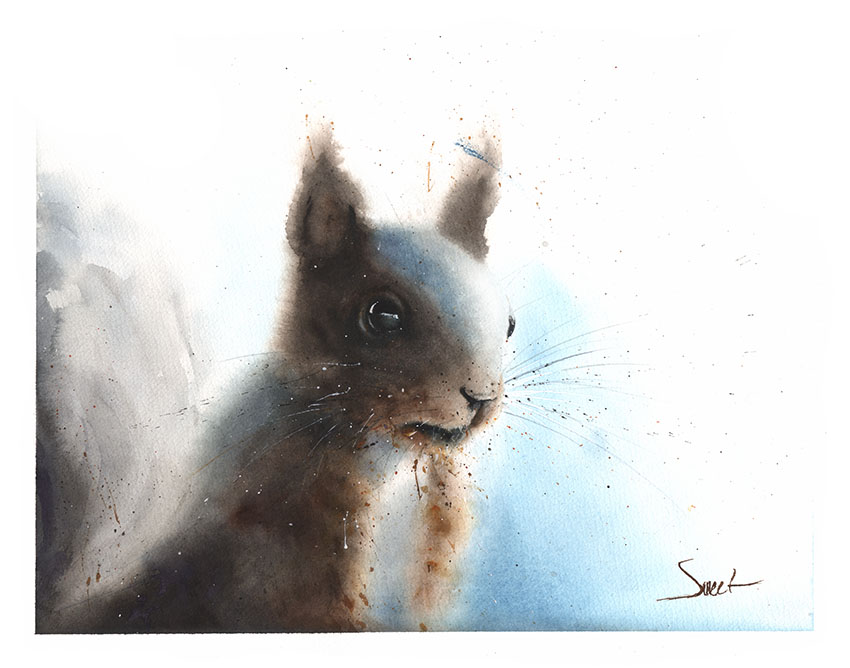 850x668 Squirrel Watercolor Print Watercolor Animal Paintings