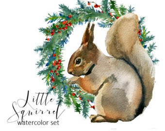 340x270 Squirrel Watercolor Etsy