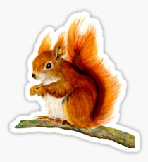 210x230 Watercolor Squirrel Gifts Amp Merchandise Redbubble