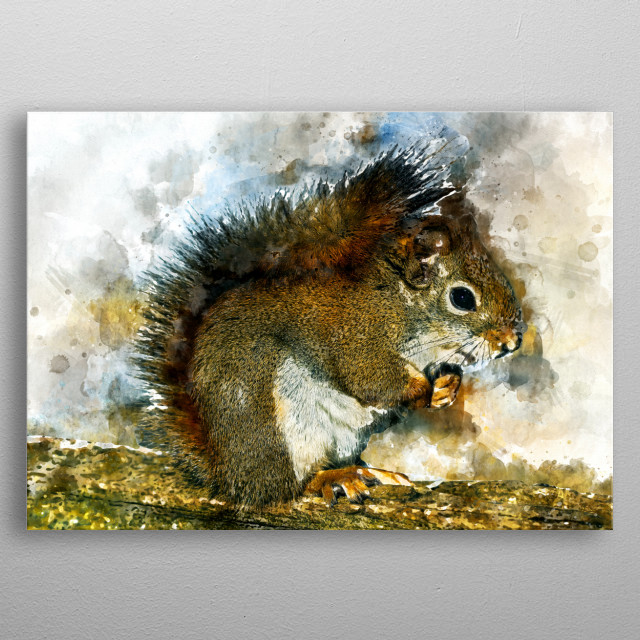 640x640 Watercolor Squirrel By Christian K Metal Posters