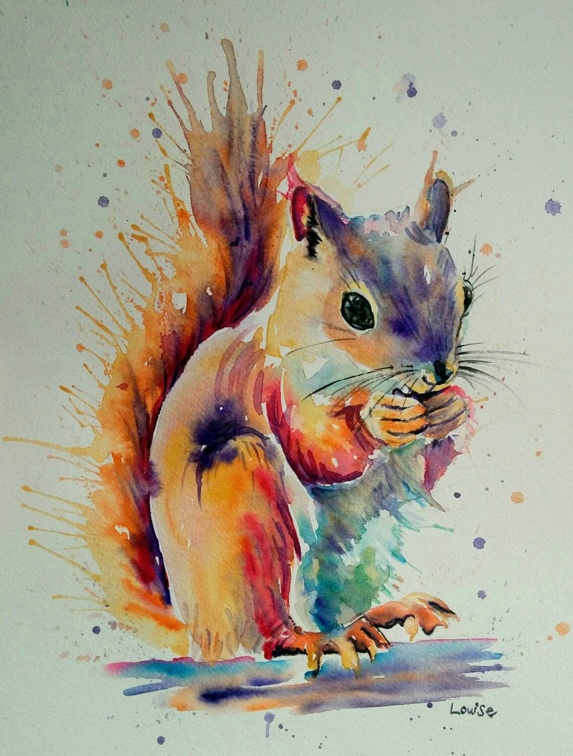 1138x1502 Watercolour Squirrel Watercolors In 2018 Squirrel