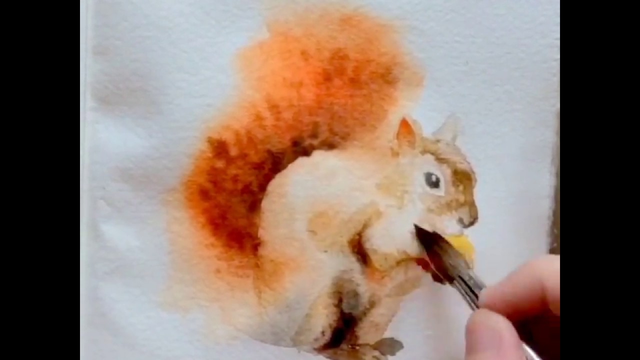 1280x720 Watercolor Speed Painting. Squirrel