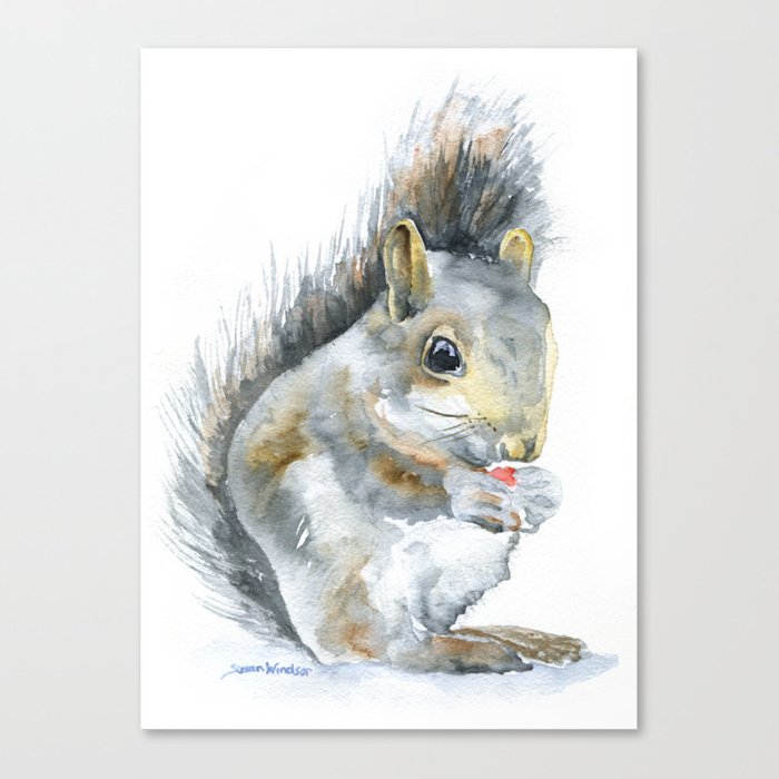 700x700 Gray Squirrel Watercolor Painting Canvas Print By Susanwindsor
