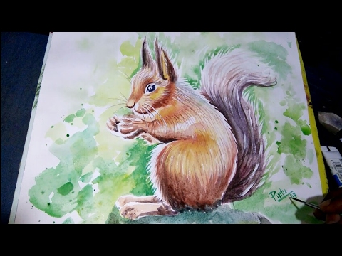 480x360 How To Draw A Squirrel For Beginners Drawing Squirrel With