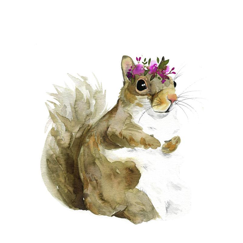 800x800 Jill The Squirrel Watercolor Paint Kit