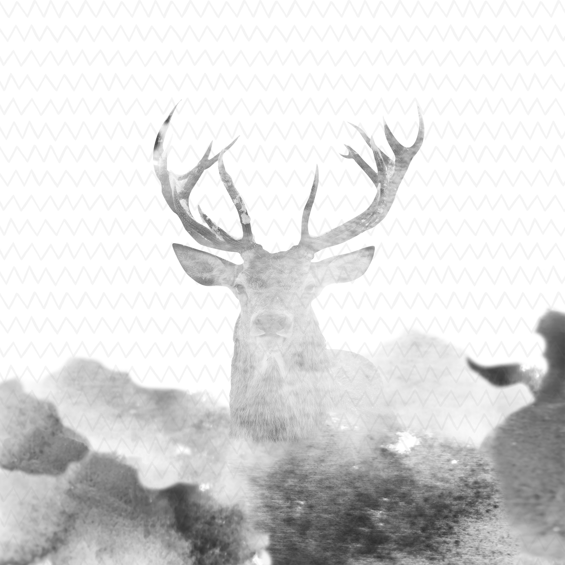 1949x1949 Napkins 33x33 Cm