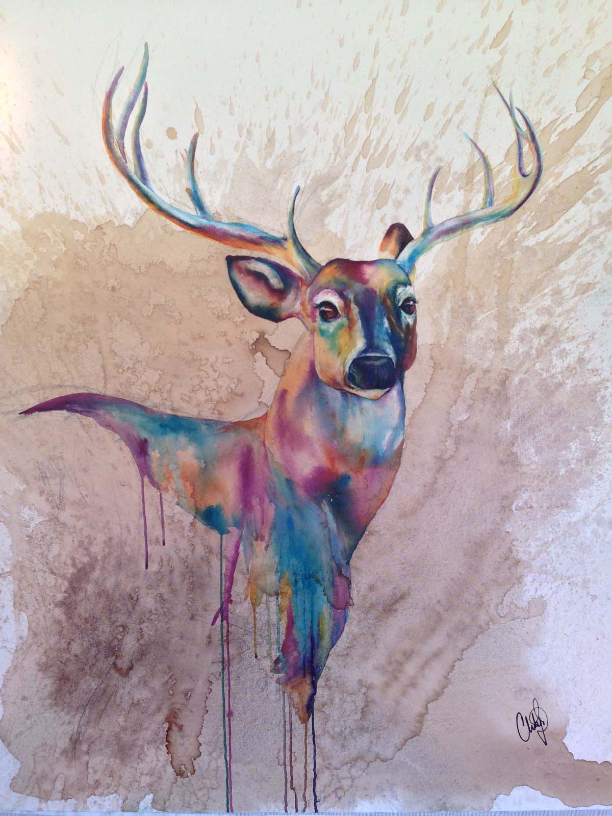 1200x1600 Recent Works Christy Studios