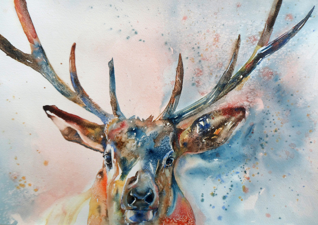 1024x725 Stag Watercolour On Paper 30x40cm. I Imagined Him