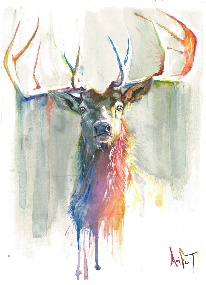 800x1107 Stag Head