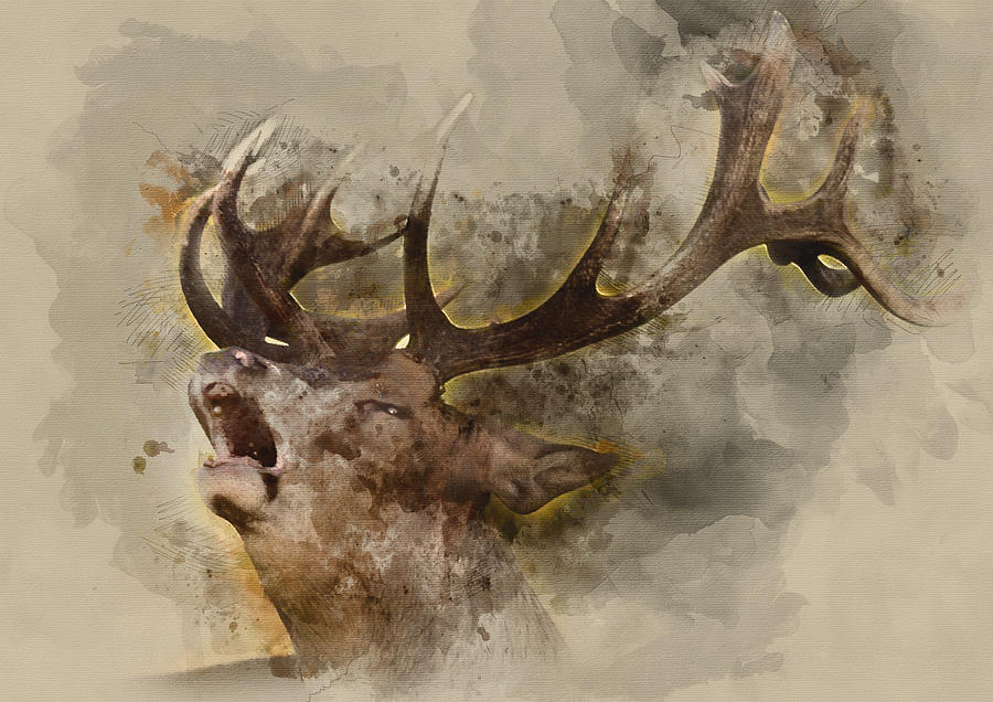 900x636 Stag Watercolor Portrait 1 By Diana Van Painting By Diana Van