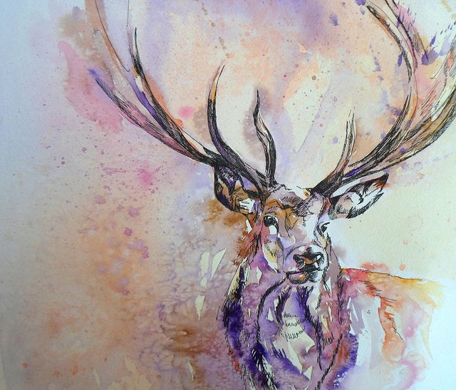 640x547 Stag2 Body Art Watercolor, Tattoo And Tatting