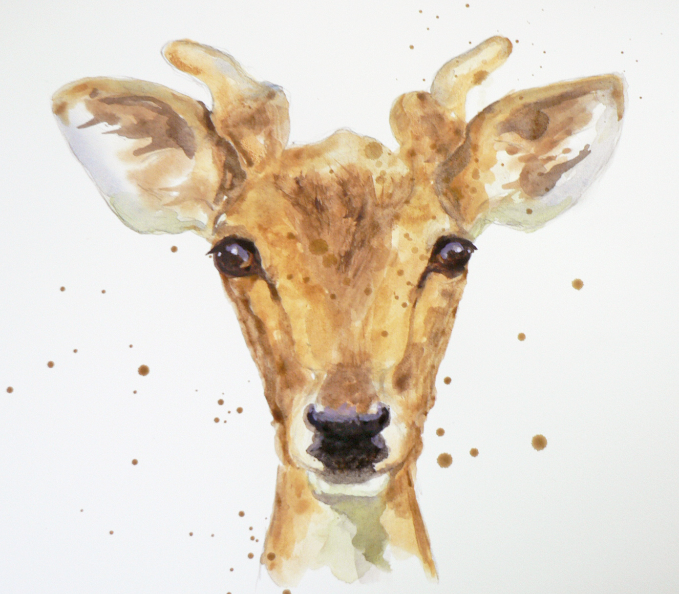 1390x1216 Art Demo Painting A Young Stag In Watercolour Part 2 Amp Final