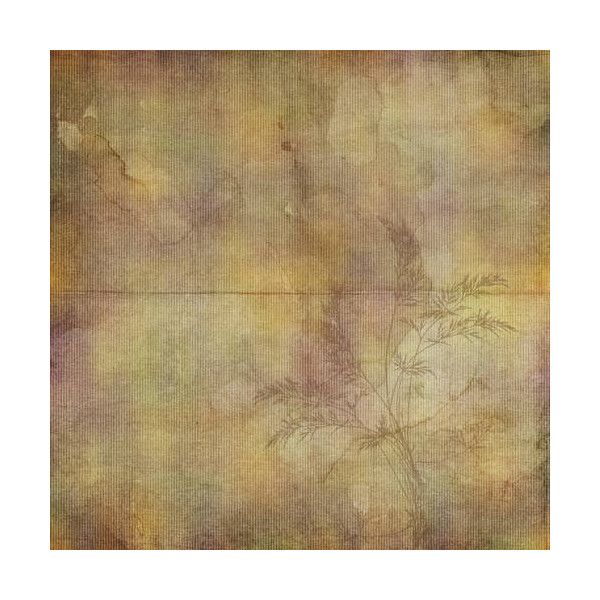 600x600 Prim And Purple Stained Watercolor Paper Liked On Polyvore