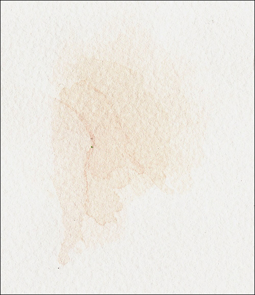 500x579 Using Bleach To Remove Tough Stains From Watercolor Paper