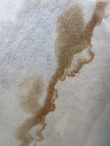 365x486 Blog Exploring The Heart Of It