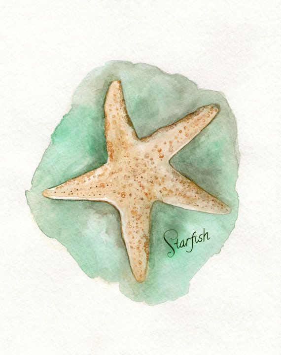 570x720 Starfish, Watercolor Print, Light Green, Archival Print, Wall Art