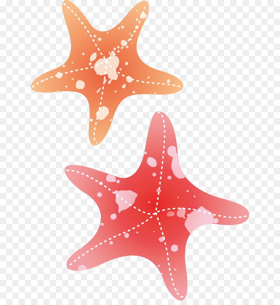 900x980 Starfish Drawing Watercolor Painting