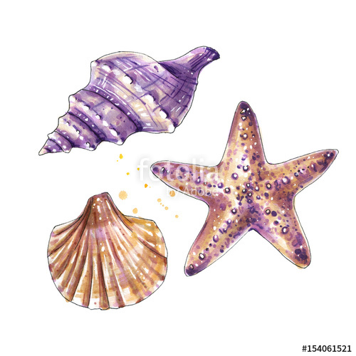 500x500 Aquatic Set, Sea Shells, Starfish. Watercolor Set Of Underwater