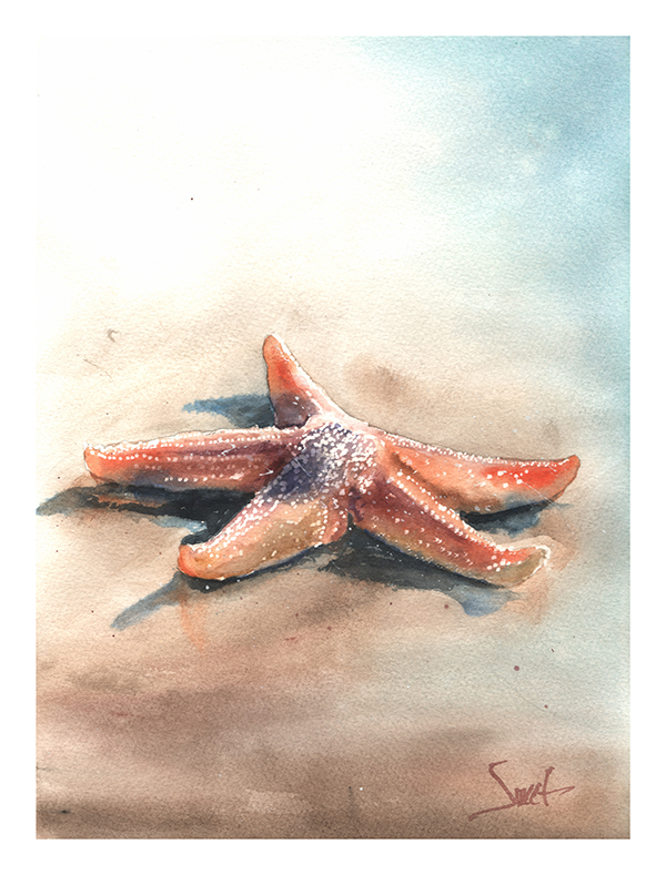 600x789 Starfish Watercolor Print Watercolor Animal Paintings