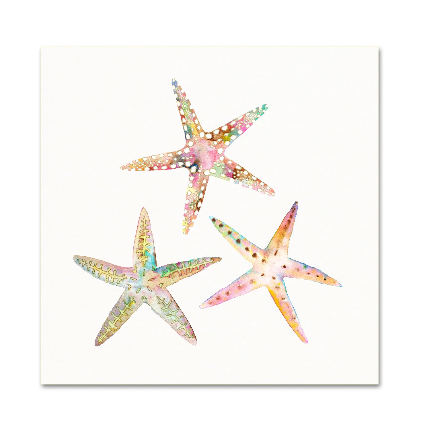 1475x1475 Watercolor Starfish