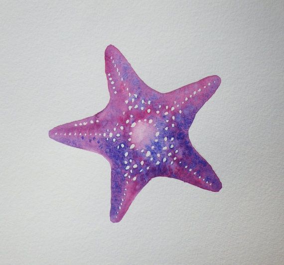 570x533 Starfish Watercolor