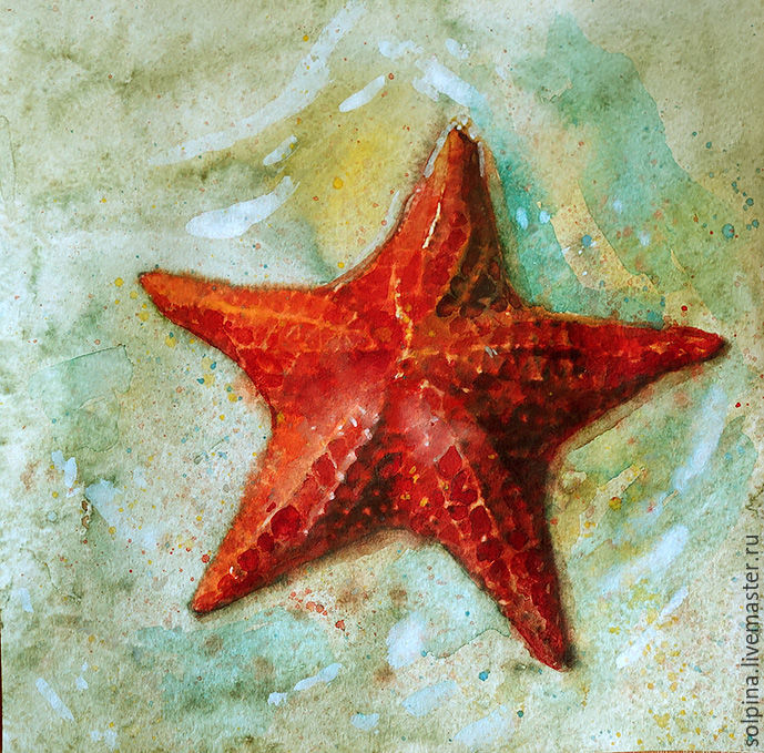 689x679 Starfish. Watercolor Shop Online On Livemaster With Shipping