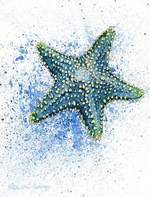 570x749 Blue Starfish