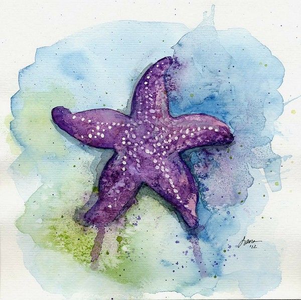 600x597 Image Result For Watercolor Starfish Akvarel In 2018