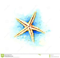 236x231 Watercolor Starfish Tattoo 78376 Trendnet