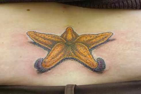 490x326 Beautiful Lowerback Starfish Tattoo