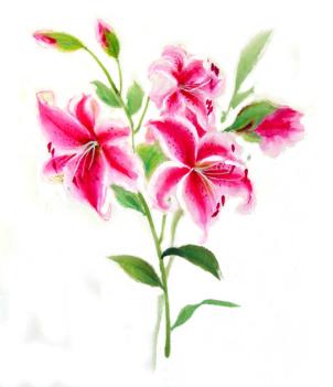 302x351 Ricepaperart Watercolor Paintings On Rice Paper