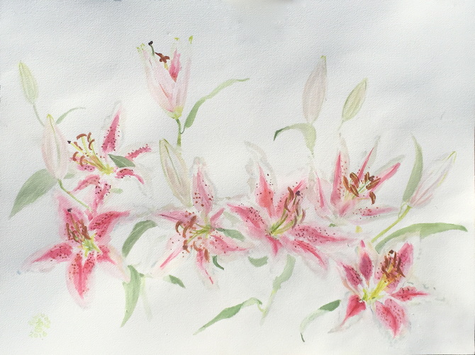 670x501 Stargazer Lilies