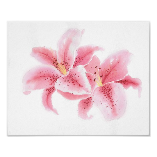 540x540 Stargazer Lilies Watercolor Poster
