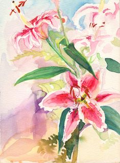 235x319 Stargazer Lily Flowers
