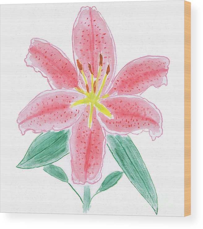 656x740 Stargazer Lily Watercolor Painting Wood Print By Conni Schaftenaar