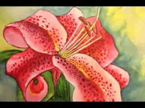 480x360 Stargazer Lily Created In Watercolor
