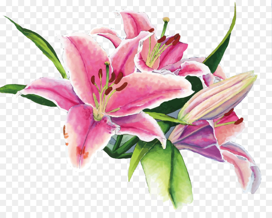 900x720 Floral Design Lilium Watercolor Painting