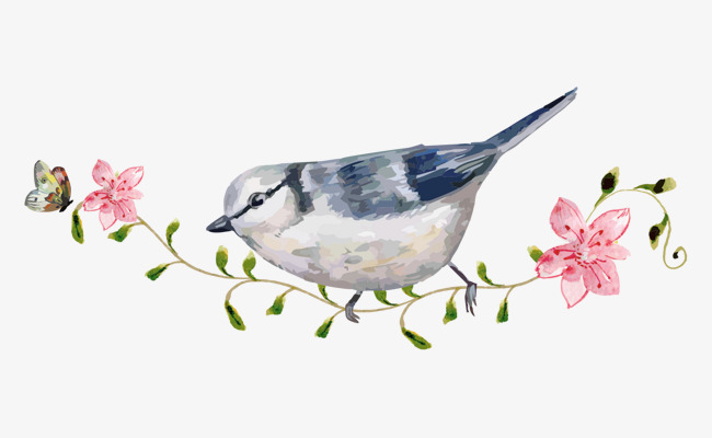 650x400 Cartoon Bird Flowers Hand Painted Watercolor Station Branches