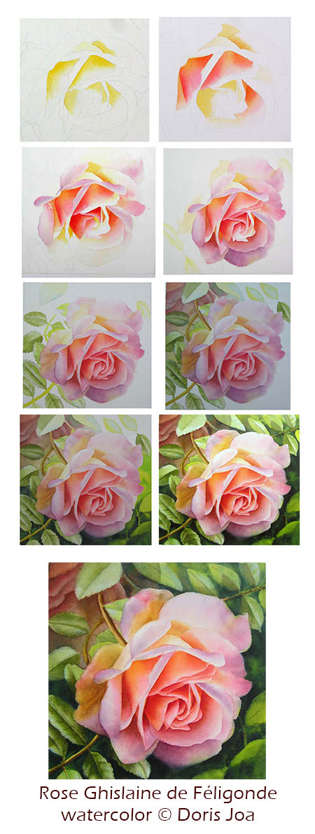 450x1191 How To Paint A Rose