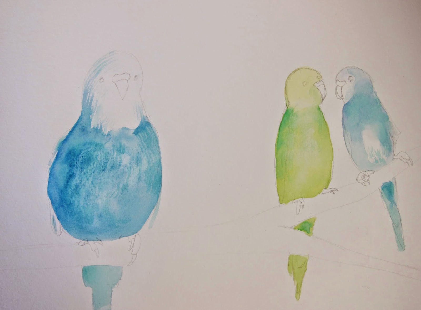 1600x1180 Steps Of Watercolor Painting Parakeets In Watercolor