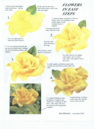 320x440 Google Image Result For