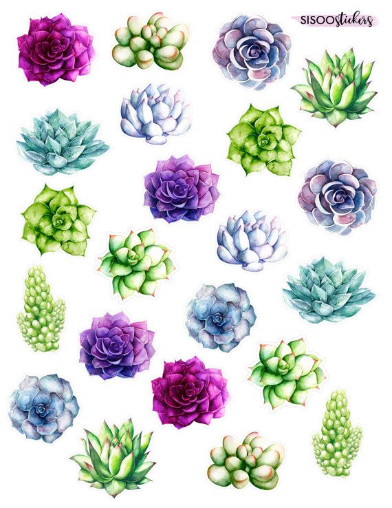 570x738 Up Your Plannerscrapbooking Game With These Succulent Watercolor