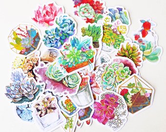 340x270 Cactus Vinyl Sticker Etsy