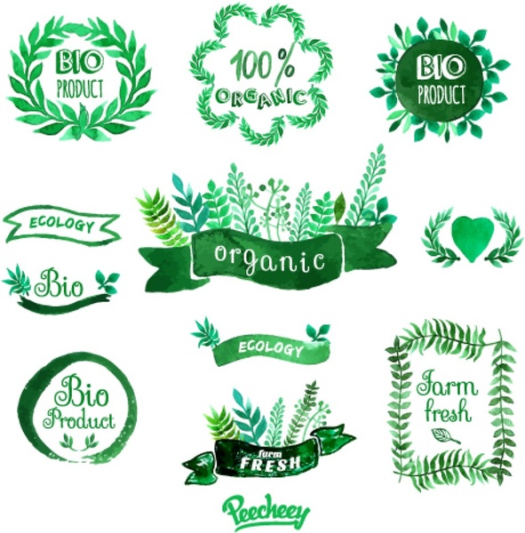 591x600 Green Watercolor Stickers Free Vector In Adobe Illustrator Ai